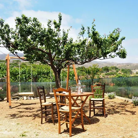 Traditional Cretan Rodhopos